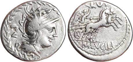 OriginalSkinCoins coin